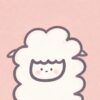 alpacaのアバター